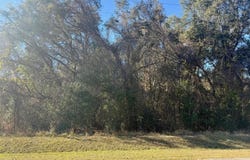 126 RAMSEY Drive, Melrose, FL 32666