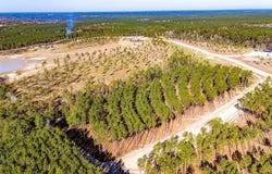 12 Big Buck Drive, Moscow, TX 75960