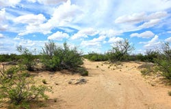 Sands St, Imperial, TX 79743