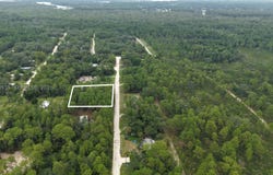 119 Fox Den, FL 32189