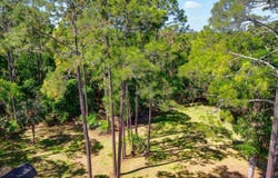 Carter Rd, St Augustine, FL 32086
