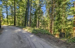 1130 Blue Ridge DR, BOULDER CREEK, CA 95006