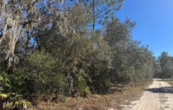 GRACE Avenue, DELAND, FL 32720