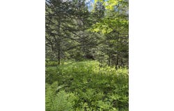 Fuller Road, Newbury, VT 05051
