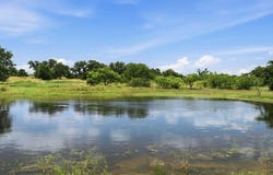 5230 County Rd 409, Valley Springs, TX 76885