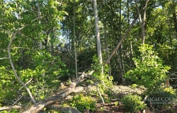 Pine Tree Drive lot: 122, Spruce Pine, NC 28777