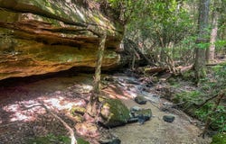 Willie Boyatt Rd, Oneida, TN 37841