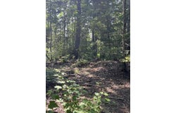 2137 N Hulbert Rd, Hulbert, MI 49768