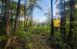 Tract 5 Sunset, Cabot, AR 72023