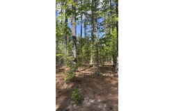 Tract 2 Foxfire Ln, Bedford, VA 24523