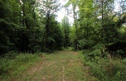 164 Reservior Road, Springfield, AR 72157