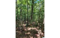7218 COUNTY ROAD 26 lot: 10, WADLEY, AL 36276