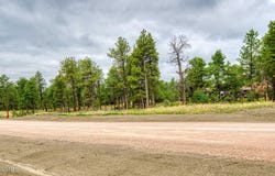 9 Pine Crest Drive, Pine Haven, WY 82721