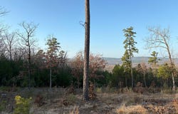 17114 Valley View Loop, Roland, AR 72135