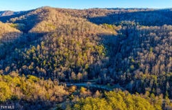 E Pumpkin Valley Road, Eidson, TN 37731