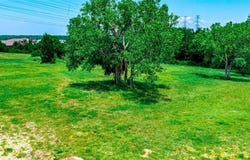 955 Northwest Drive, Mesquite, TX 75150