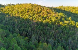 Shepard Fork Rd., West Portsmouth, OH 45663