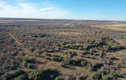 Co Rd 303, Gorman, TX 76454
