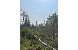 W M-134 Hwy, Hessel, MI 49745