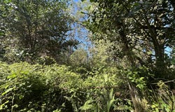 16-1384 AO RD, Mountain View, HI 96771