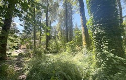 65425 E TIMBERLINE Dr, Rhododendron, OR 97049