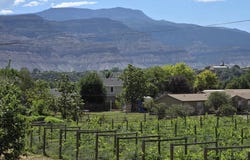 819 Montclair Drive, Palisade, CO 81526