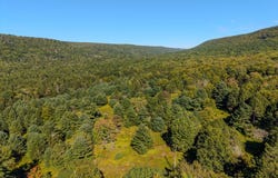209 SANDY Drive, WOODWARD, PA 16882
