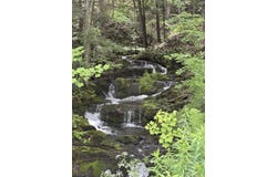 Davis Acres Road, Brookfield, VT 05060