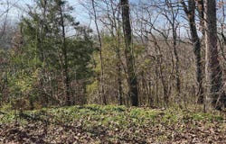 L-3, B-24 Algonquin Circle, Cherokee Village, AR 72529