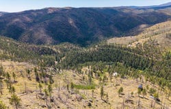 693 Cougar Dr, Bellvue, CO 80512