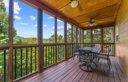 349 Willow Oak Lane, Branson, MO 65616