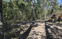 203, Wheatland, MO 65779