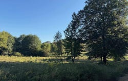 Polk Road 19, Cove, AR 71937