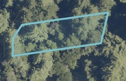 Scenic, BOULDER CREEK, CA 95006