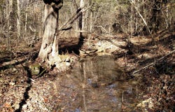 Buttermilk Spring Road, Galena, MO 65656