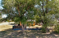 110 Garfield, Springer, NM 87747