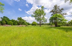 247 McCarty Road, Lufkin, TX 75904