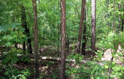 77 CHEROKEE RD., Sparta, GA 31061