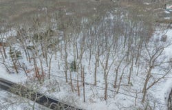20 Oak Road, Eastham, MA 02642