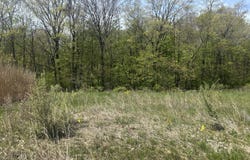 Jane Way, Sawyer, MI 49125