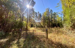 PARCEL#11405 CR 2265, Grapeland, TX 75844