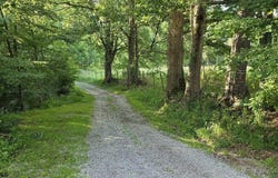 98 Wolford Lane, Dryfork, WV 26263
