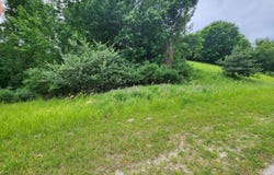 Deer Ridge Trail, Beulah, MI 49617