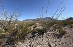 TR 26 Wildcat Dr, Terlingua, TX 79852