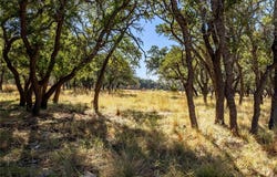 Legacy Oaks Dr, Harper, TX 78631