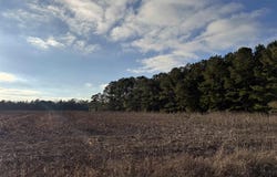 Thomas Dr., Kingstree, SC 29556