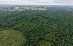 80 Thousand Road, Gillham, AR 71841