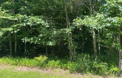 Gate 3 Lot 31, CLEAR FORK, VA 24314