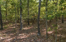 County Road 9400, West Plains, MO 65775