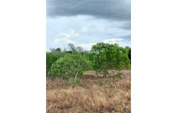 1060 Fox Lane, Lockhart, TX 78644